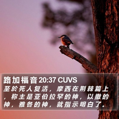 路 加 福 音 20:37 CUVS Bible Verse Image