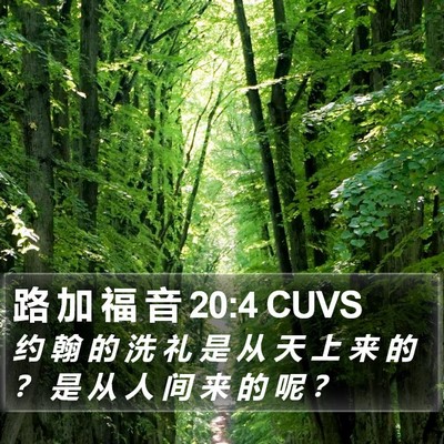 路 加 福 音 20:4 CUVS Bible Verse Image