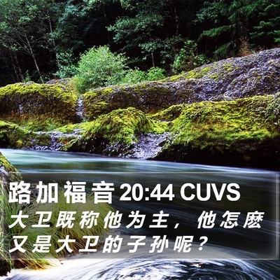 路 加 福 音 20:44 CUVS Bible Verse Image
