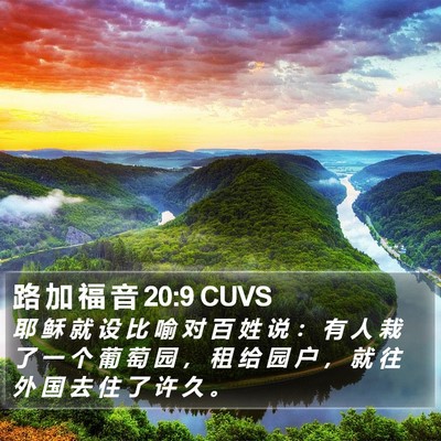 路 加 福 音 20:9 CUVS Bible Verse Image