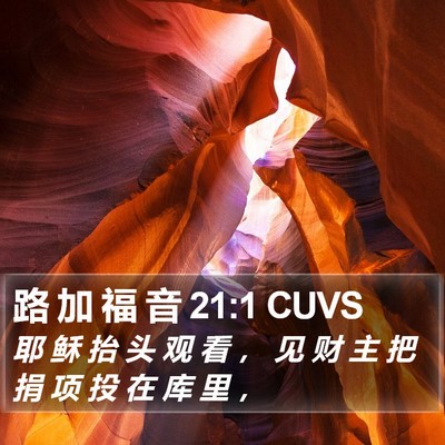 路 加 福 音 21:1 CUVS Bible Verse Image