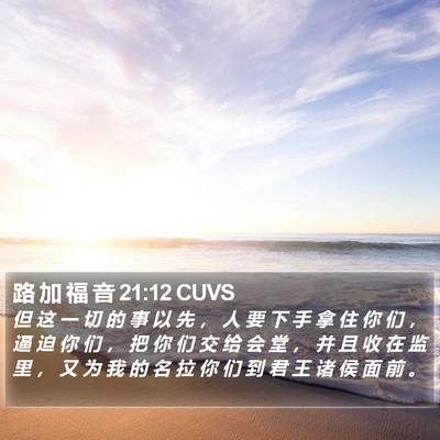 路 加 福 音 21:12 CUVS Bible Verse Image