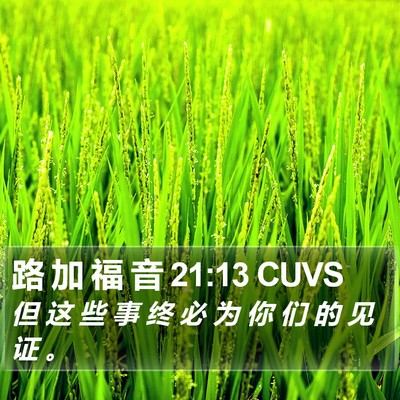 路 加 福 音 21:13 CUVS Bible Verse Image
