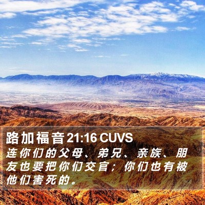 路 加 福 音 21:16 CUVS Bible Verse Image