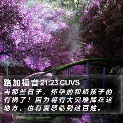 路 加 福 音 21:23 CUVS Bible Verse Image