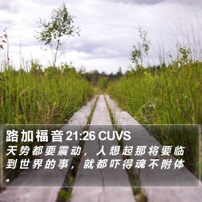 路 加 福 音 21:26 CUVS Bible Verse Image