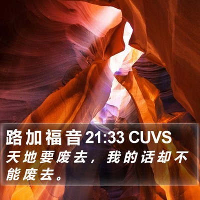 路 加 福 音 21:33 CUVS Bible Verse Image