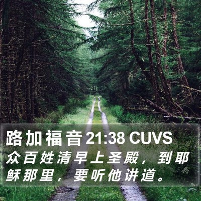 路 加 福 音 21:38 CUVS Bible Verse Image