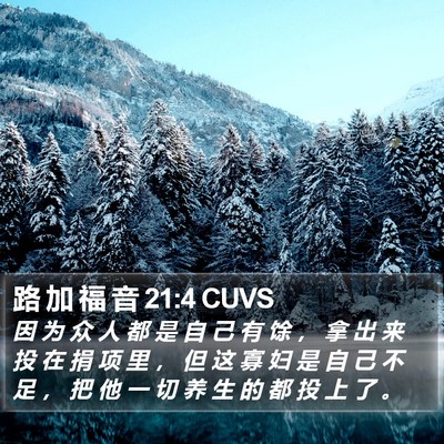路 加 福 音 21:4 CUVS Bible Verse Image