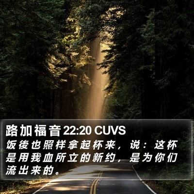 路 加 福 音 22:20 CUVS Bible Verse Image
