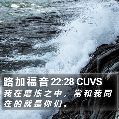 路 加 福 音 22:28 CUVS Bible Verse Image