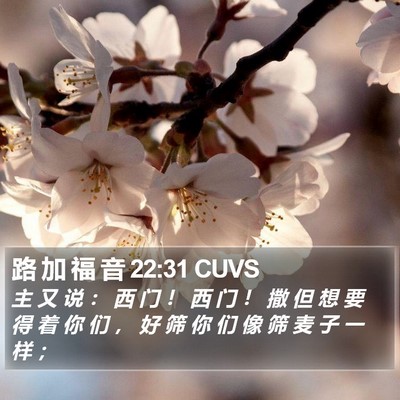 路 加 福 音 22:31 CUVS Bible Verse Image