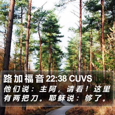 路 加 福 音 22:38 CUVS Bible Verse Image