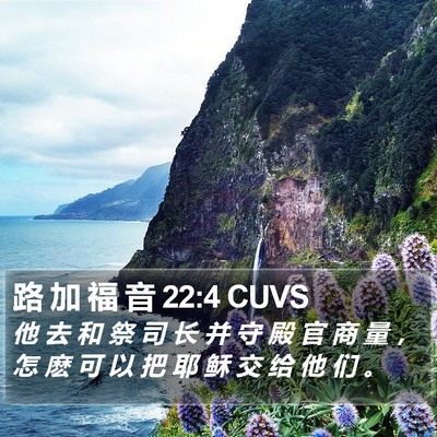 路 加 福 音 22:4 CUVS Bible Verse Image
