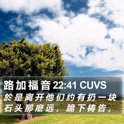 路 加 福 音 22:41 CUVS Bible Verse Image