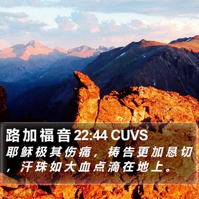 路 加 福 音 22:44 CUVS Bible Verse Image