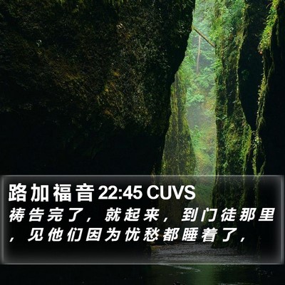 路 加 福 音 22:45 CUVS Bible Verse Image