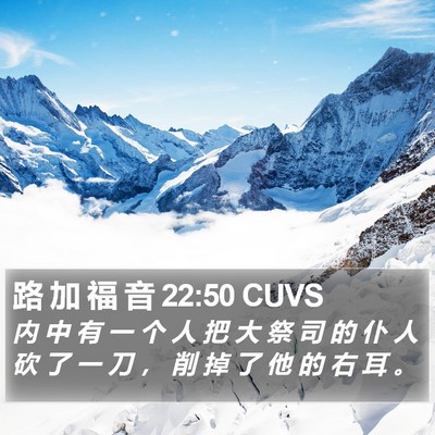 路 加 福 音 22:50 CUVS Bible Verse Image