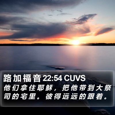 路 加 福 音 22:54 CUVS Bible Verse Image