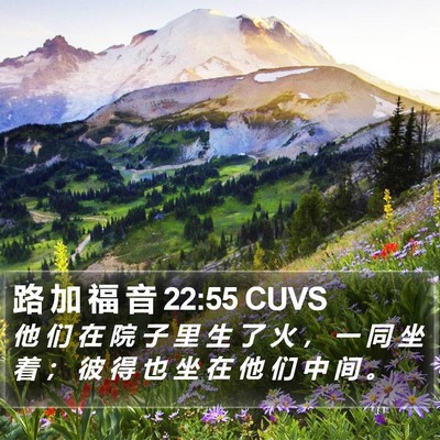 路 加 福 音 22:55 CUVS Bible Verse Image