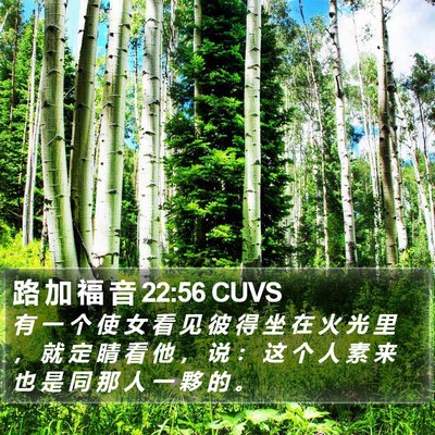 路 加 福 音 22:56 CUVS Bible Verse Image