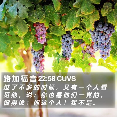 路 加 福 音 22:58 CUVS Bible Verse Image