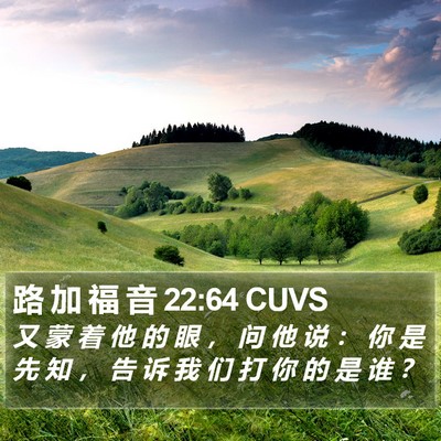 路 加 福 音 22:64 CUVS Bible Verse Image