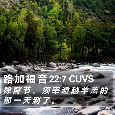 路 加 福 音 22:7 CUVS Bible Verse Image