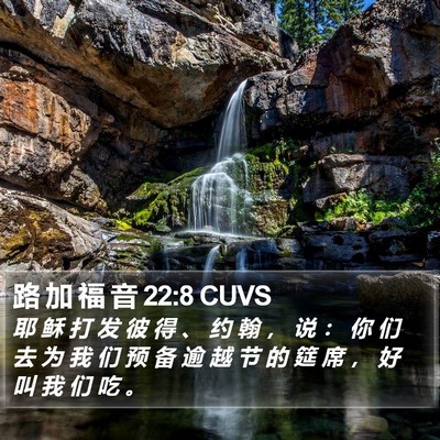 路 加 福 音 22:8 CUVS Bible Verse Image