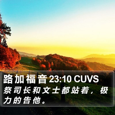 路 加 福 音 23:10 CUVS Bible Verse Image