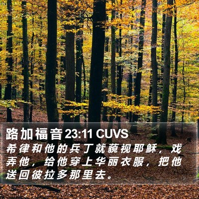 路 加 福 音 23:11 CUVS Bible Verse Image