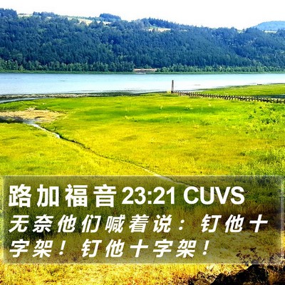 路 加 福 音 23:21 CUVS Bible Verse Image
