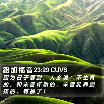 路 加 福 音 23:29 CUVS Bible Verse Image