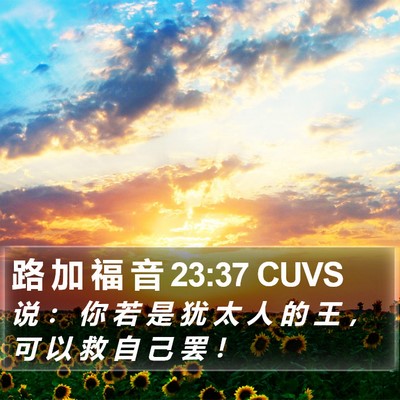 路 加 福 音 23:37 CUVS Bible Verse Image