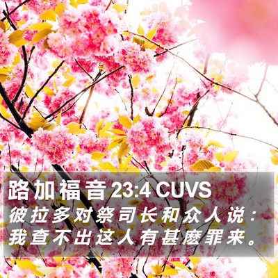 路 加 福 音 23:4 CUVS Bible Verse Image