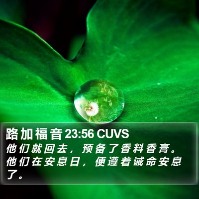 路 加 福 音 23:56 CUVS Bible Verse Image