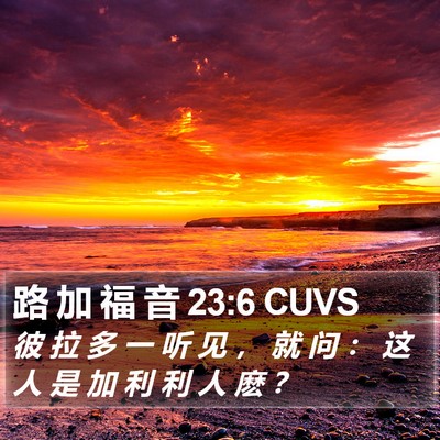 路 加 福 音 23:6 CUVS Bible Verse Image