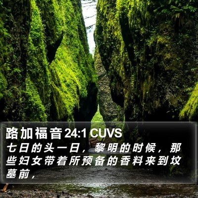 路 加 福 音 24:1 CUVS Bible Verse Image