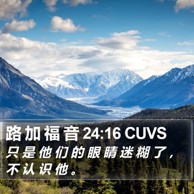 路 加 福 音 24:16 CUVS Bible Verse Image