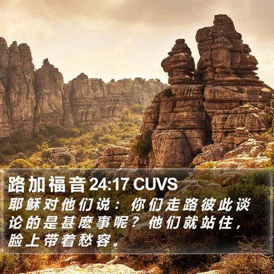 路 加 福 音 24:17 CUVS Bible Verse Image