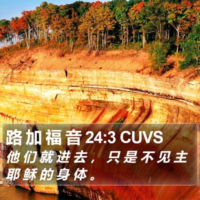 路 加 福 音 24:3 CUVS Bible Verse Image