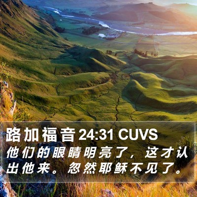 路 加 福 音 24:31 CUVS Bible Verse Image