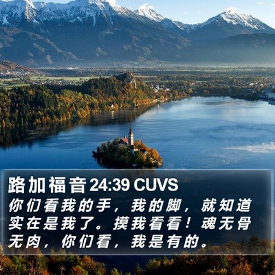 路 加 福 音 24:39 CUVS Bible Verse Image