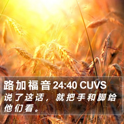 路 加 福 音 24:40 CUVS Bible Verse Image