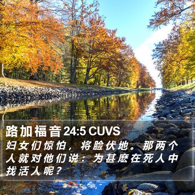 路 加 福 音 24:5 CUVS Bible Verse Image