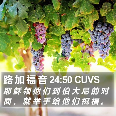 路 加 福 音 24:50 CUVS Bible Verse Image