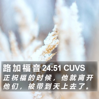 路 加 福 音 24:51 CUVS Bible Verse Image