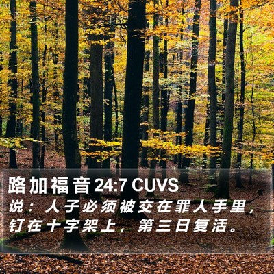 路 加 福 音 24:7 CUVS Bible Verse Image