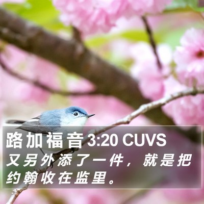 路 加 福 音 3:20 CUVS Bible Verse Image