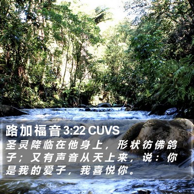 路 加 福 音 3:22 CUVS Bible Verse Image